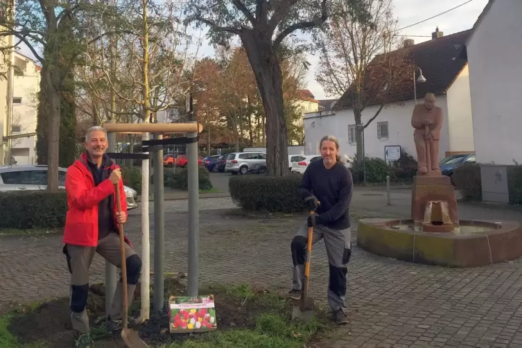 Grünes: Matthias Keßler und Christian Karpp beim Baumpflanzen in Maudach.