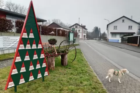 Jeden Morgen bringt Michael Haas einen Nikolaus, wenn er mit Hündin Kira Gassi geht. 