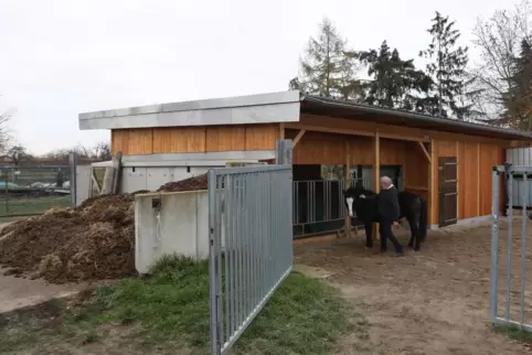 Gerhard Weiss mit einem Pony vor dem Unterstand, in dem unter anderem das Winterfutter für die Pferde lagert. 