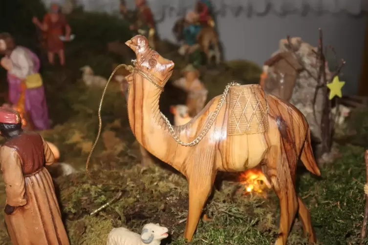 Das Kamel, das es von Jerusalem in die Pfalz schaffte. 