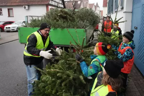 Weihnachtsbaumsammlung 2019 in Schaidt.