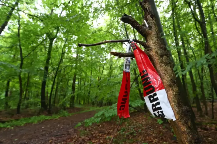 Tatort Wald: Hier wird der 43-Jährige malträtiert.