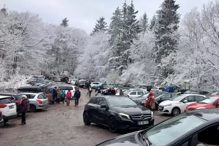 Reger Betrieb: Auch am Samstag lockte die Schneelandschaft auf der Kalmit wieder viele Besucher an. 