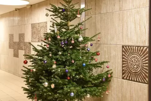 Für Weihnachten ausgedient, dient der Baum immer noch einem guten Zweck. 