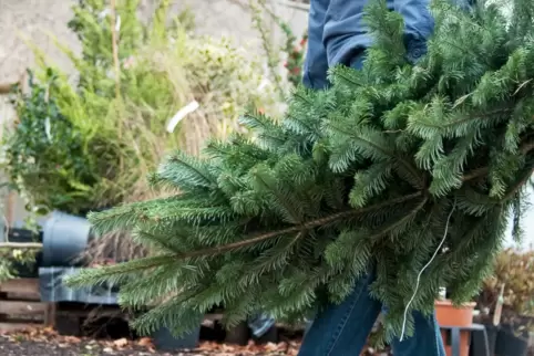 Wohin mit dem Baum nach Weihnachten?