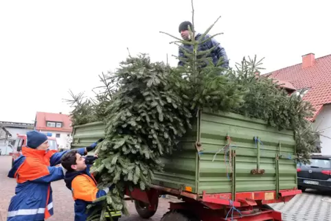 Sammeln traditionell die Christbäume in Hanhofen ein: Mitglieder der Feuerwehr, wie hier im Jahr 2019. 