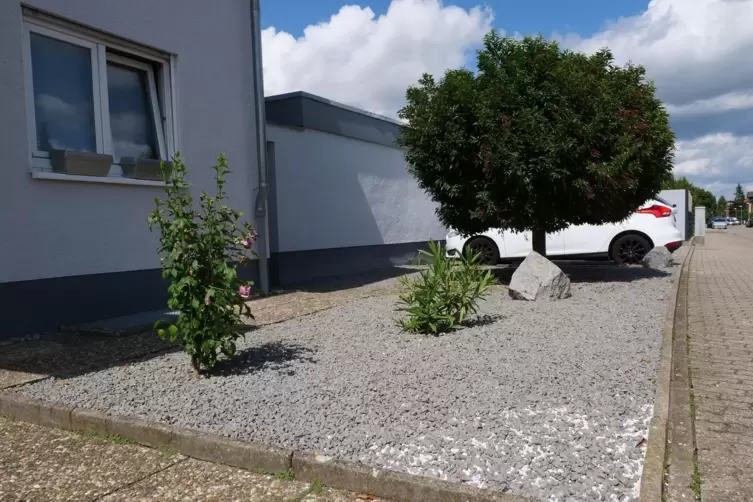 Solche Steing&auml;rten sind leichter zu pflegen, ziehen aber keine V&ouml;gel und Insekten an. 
