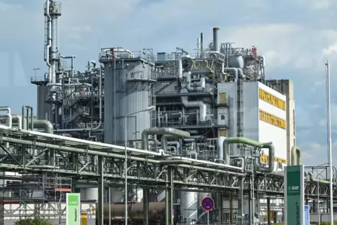 Zu den Standorten, an denen die Ultramid-Compoundierung konzentriert wird, gehört neben Ludwigshafen auch Schwarzheide (Foto) . 