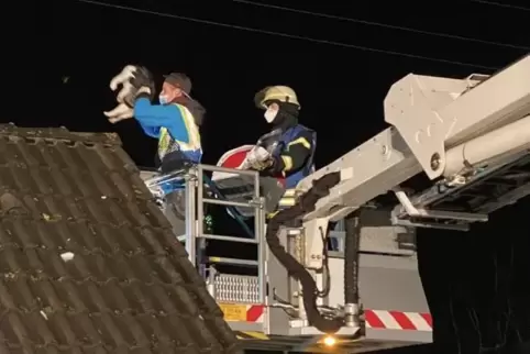 Nach zweieinhalb Stunden war die Katze befreit.