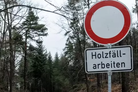Eine komplette Straßensperrung wie 2014 ist diesmal nicht nötig. Autofahrer werden per Ampelschaltung um die Waldbaustelle herum