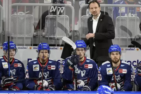 Pavel Gross bleibt für weitere drei Jahre als Trainer hinter der Bande der Mannheimer Adler.