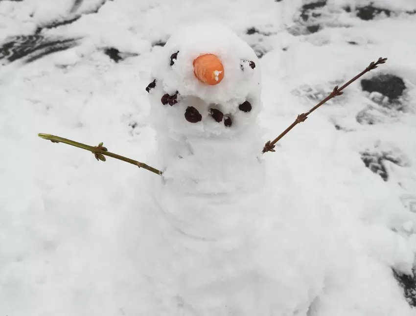 "Schnee-Einhorn, gebaut von meiner siebenjährigen Tochter Hannah Mayer bei uns im Garten in Altdorf. In dieser tristen und betrü