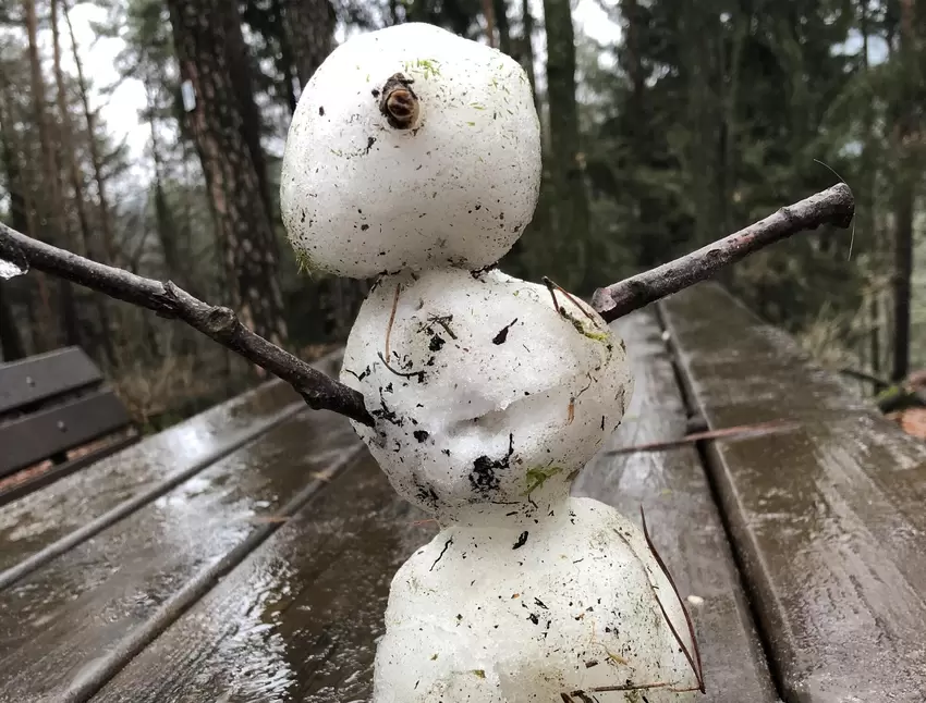 "Das Foto entstand zwar schon am 2. Januar oberhalb des Kurpfalzparks,aber das einsam zurückgebliebene Schneemännchen beeindruck