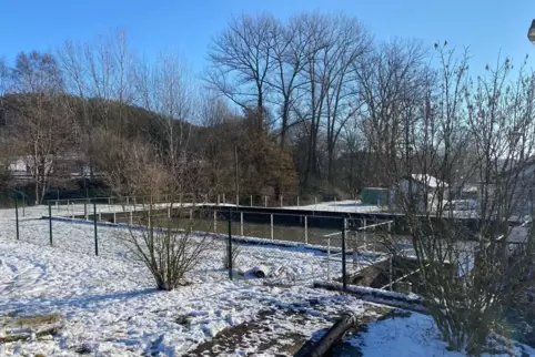 Nach der Einleitung von Giftstoffen baut sich die Biologie der Kläranlage Bann allmählich wieder auf. Bis Ende der Woche soll si