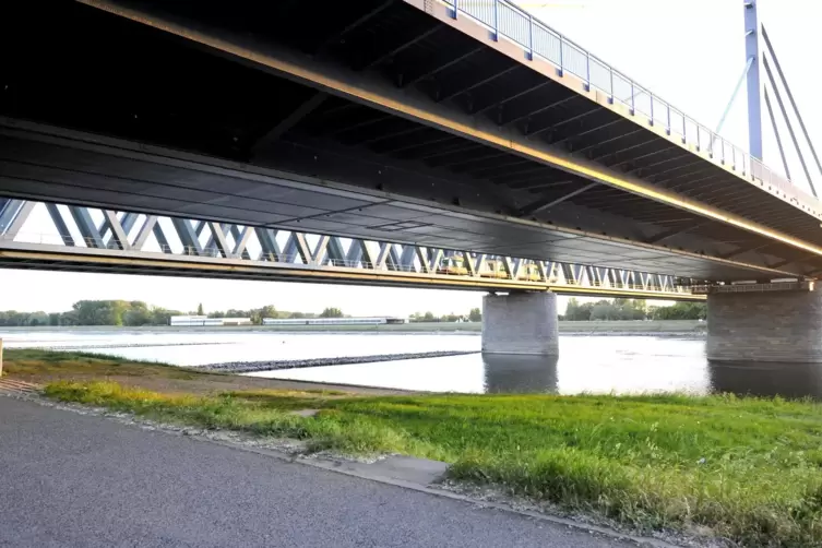Die Rheinbrücke. 