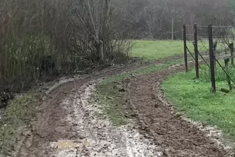 Kaputtgefahrener Weg bei Dammheim. 