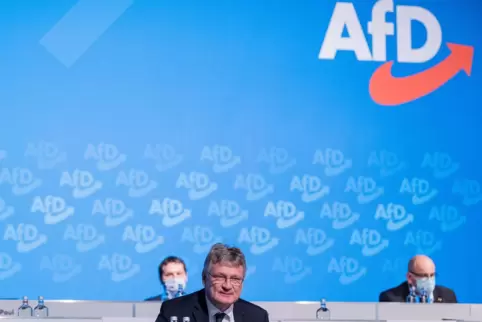 Bundesprecher Jörg Meuthen auf einem Parteitag der AfD im November. 
