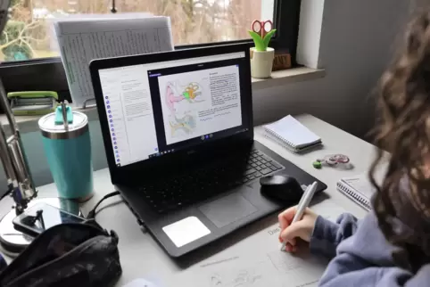 Viele Schülermüssen derzeit daheim und via Internet lernen.