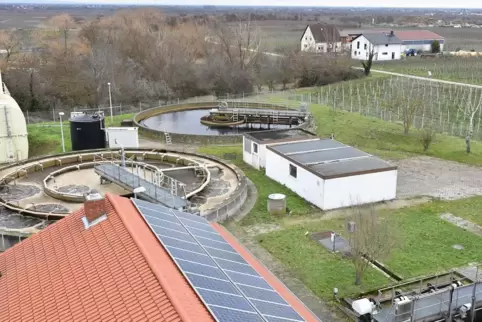 Für die Modernisierung wird künftig mehr Platz benötigt, deswegen wird ein angrenzender Wingert für eine Erweiterung genutzt. 