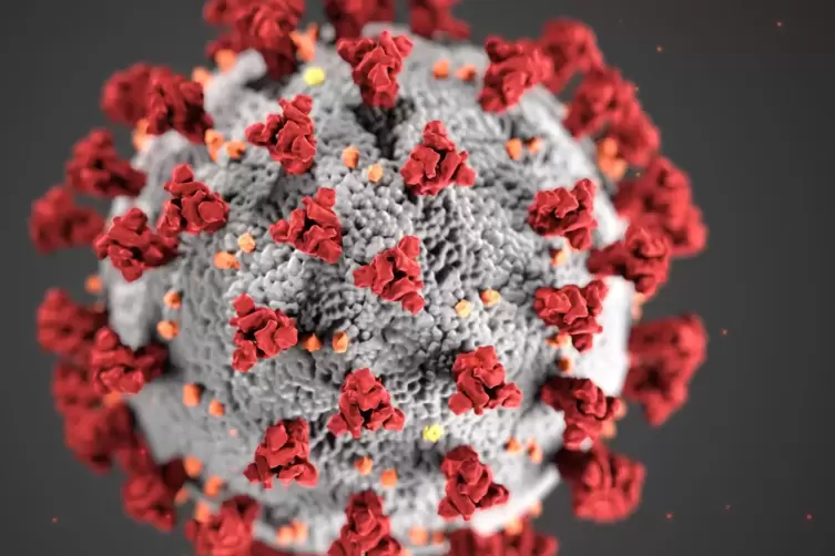 Zwölf Neuinfektionen mit dem Coronavirus vermeldete die Kuseler Kreisverwaltung am Mittwoch. 