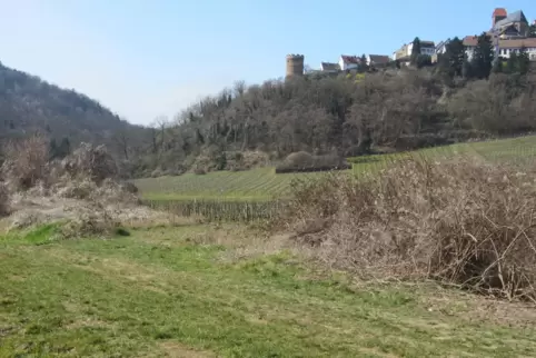 Vom Radweg Leiningertal hätte man einen schönen Blick auf Neuleiningen, wie dieses Foto aus dem Frühling 2014 zeigt. Damals lief