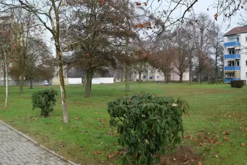 Bauplatz Kastanienweg: voraussichtlich 13 Bäume müssen fallen.