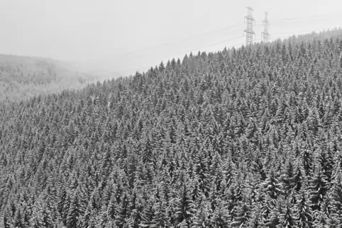 In den kommenden Tagen muss immer wieder mit Schneefall gerechnet werden. 