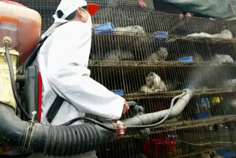 Nicht erst mit dem Auftauchen des Virus Sars-CoV-2 stehen Wildtiermärkte in China im Fokus. Auf dem Bild werden im Jahr 2004 Käf