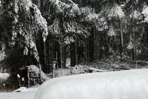 Winterlandschaft in Breitenbach. (Kreis Kusel)