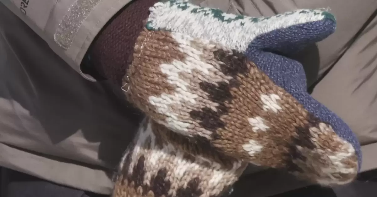 Jennifer Ellis: Die Frau hinter Bernie Sanders' Handschuhen - Leute - DIE  RHEINPFALZ
