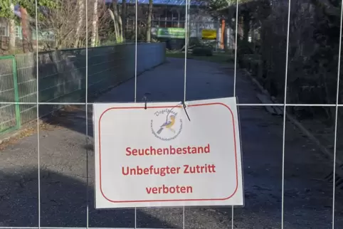 Seit Anfang November breitet sich in Deutschland die Geflügelpest aus. Der erste Fall in Rheinland-Pfalz wurde in Bobenheim-Roxh
