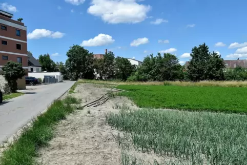 Gegenstand heftiger Debatten: der Bereich am Studernheimer Weg in Flomersheim,der nach der Planung der Stadtverwaltung Baugebiet