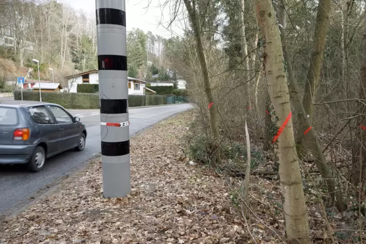 F&uuml;r die Regenr&uuml;ckhaltebecken m&uuml;ssen B&auml;ume gef&auml;llt werden. Sp&auml;ter wird der Wald klimagerecht wieder aufgeforstet.