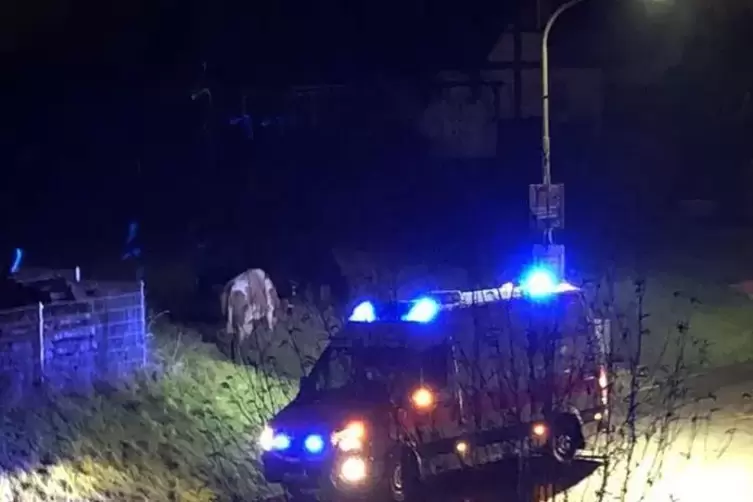 Ein zuf&auml;llig vorbeikommender Rettungswagen stellte sich sch&uuml;tzend davor. 