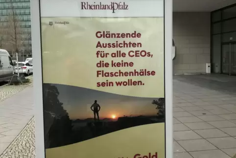 Was soll uns dieser Spruch sagen? 