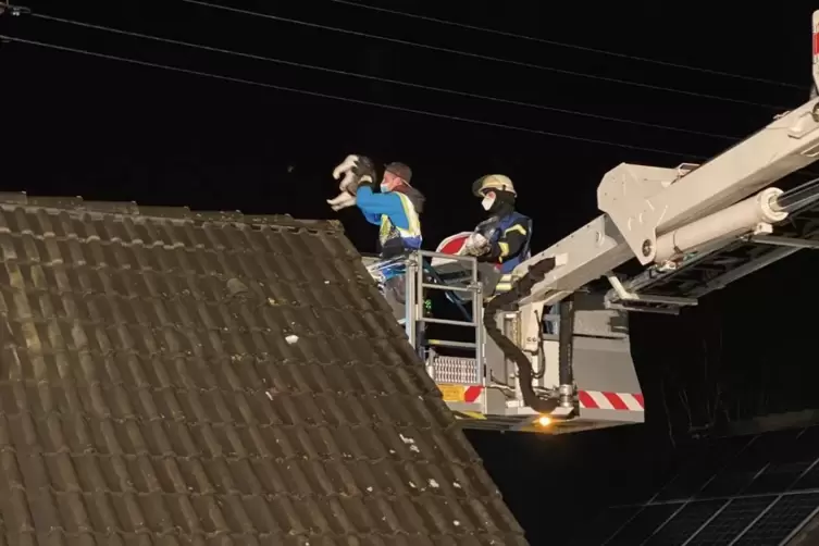 Die Rettung. 
