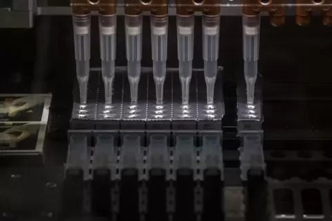 Ein Analysegerät zur Erkennung von Mutationen des Coronavirus bei PCR-Tests in einem Schweizer Forschungsinstitut für Mikrobiolo