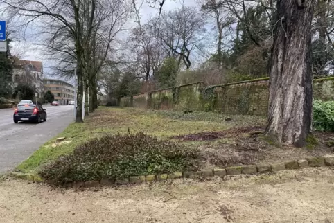Platz geschaffen: Zwischen die Bäume und die Mauer des Adenauerparks kommt künftig der Gehweg.