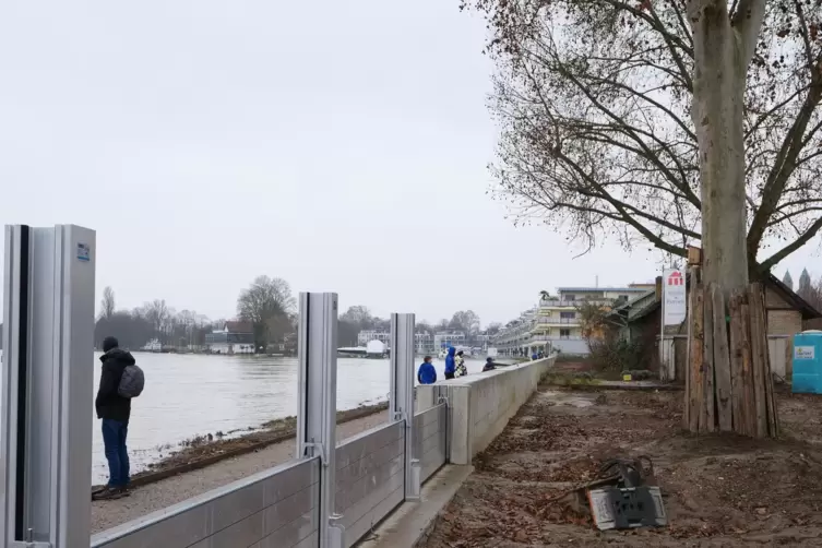 Reger Betrieb: Rheinufer zwischen Pegelh&auml;uschen und Hafenvillen am Sonntagnachmittag. 