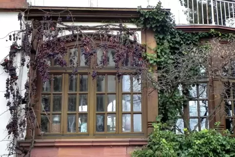 Efeu und Weinrebe ranken sich an der Fassade in der Bahnhofstraße in Wachenheim empor.