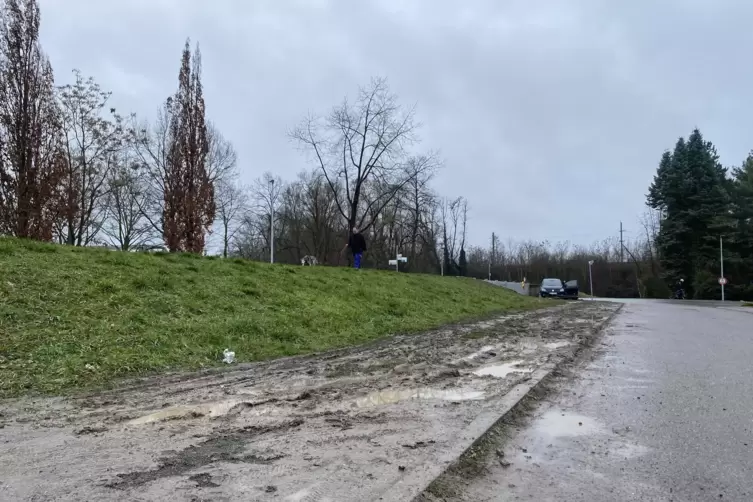 Ein Spazierg&auml;nger mit Hund ist auf dem vom Regen durchweichten Deich bei Germersheim unterwegs. Autos haben am Fu&szlig; des Dammes ih