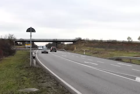 Die B 271 zwischen Wachenheim und Friedelsheim. 
