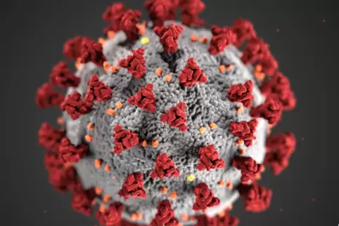 Eine Illustration des Coronavirus’.