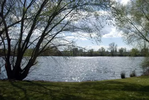 Auch die Weiher rund um den Willersinn würden zum Landschaftsschutzgebiet gehören. 
