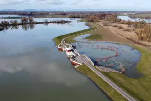 Hochwasser becken bei Neupotz (Kreis Germersheim) 