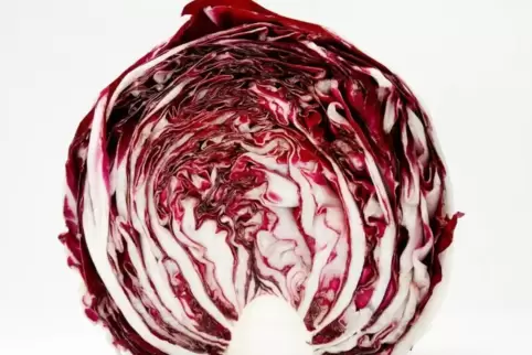 Radicchio