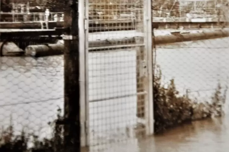1955: &uuml;berschwemmter Zugang zur Gastst&auml;tte des Wassersportvereins. 