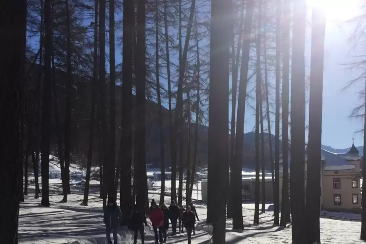 2018: Spaziergang durch den malerischen L&auml;rchenhain hinter dem Hotel der Familie Egger in Richtung D&ouml;rfl. In diesem Jahr lag so 