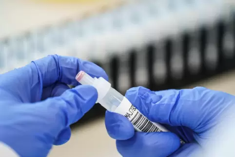 Rund 30.000 positive Corona-Tests wurden nach der Virusmutation B.1.1.7 durchsucht. Sie tauchte in sechs Prozent der Proben auf.