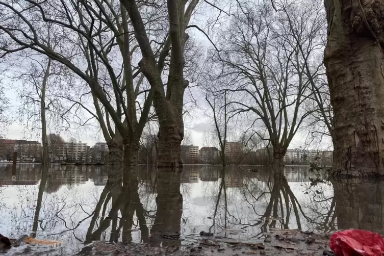 Weite Teile des Stadtparks sind &uuml;berflutet, die B&auml;ume k&ouml;nnten umkippen.
